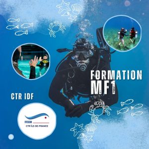 logo_mf1