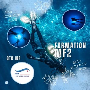 logo_mf2