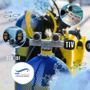 logo_tiv